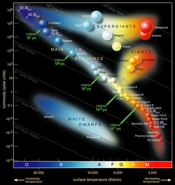 classification of star types according to temperature and luminosity