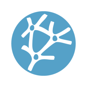 Neural Designer favicon