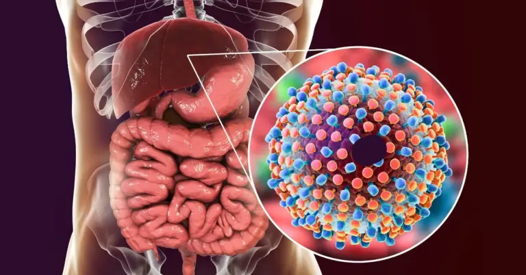 Liver and hepatitis