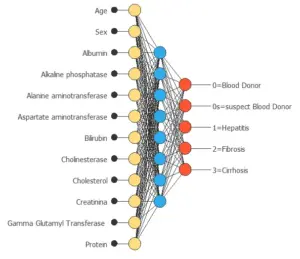 Hepatitis C (HCV) model graph