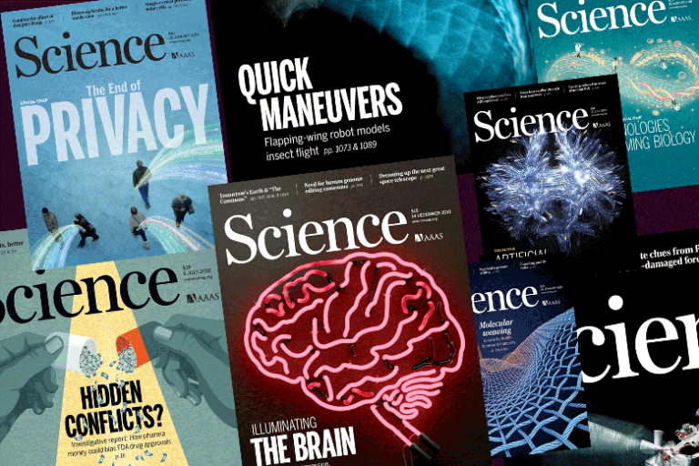 Neural Designer articles