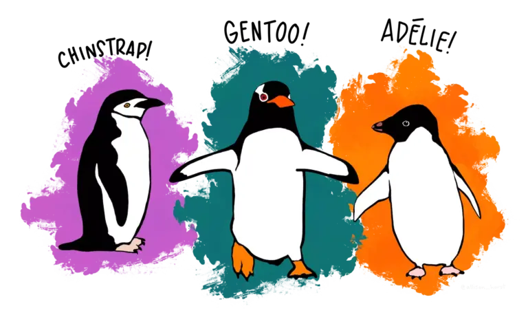 Penguin