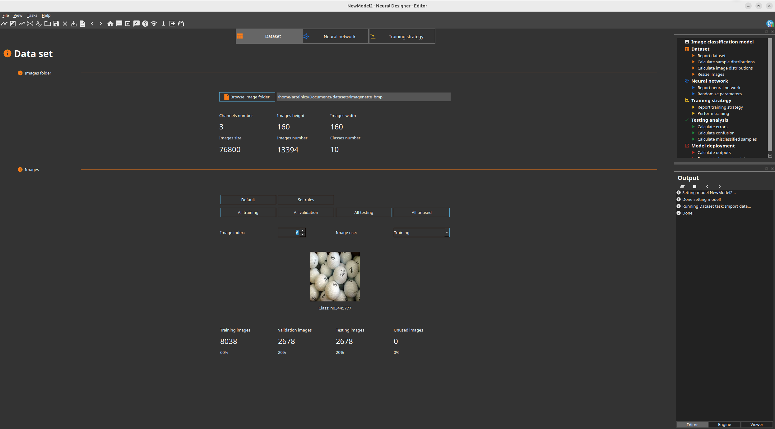 Neural Designer Data set interface for an image classification model