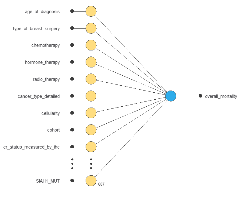 Initial network with 687 raw candidate predictors and one mortality output