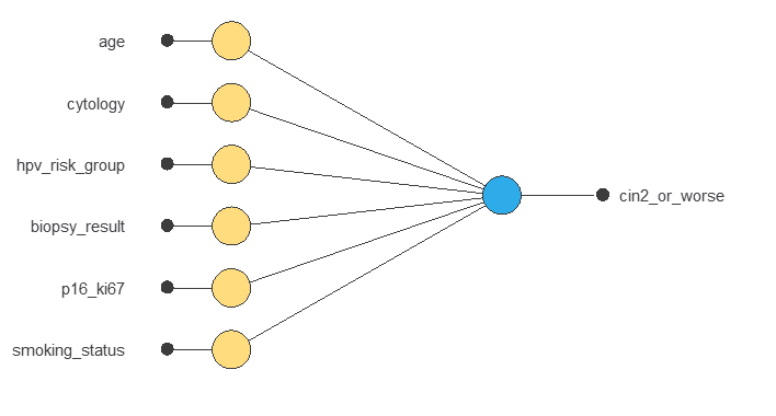 Initial 26-to-1 cervical CIN2-plus classifier