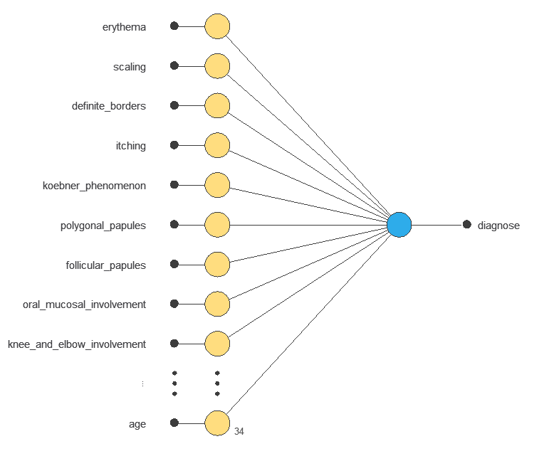 Direct 34-input to six-output dermatology classifier without a hidden layer