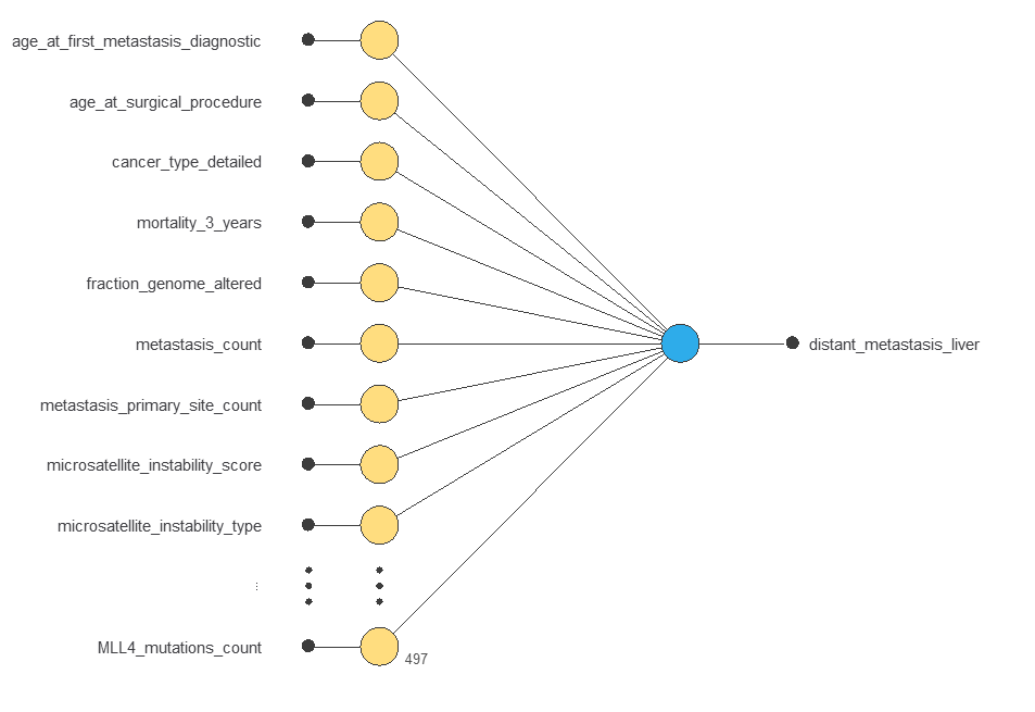 Initial liver-metastasis classifier with 497 raw inputs, 525 encoded features and one output