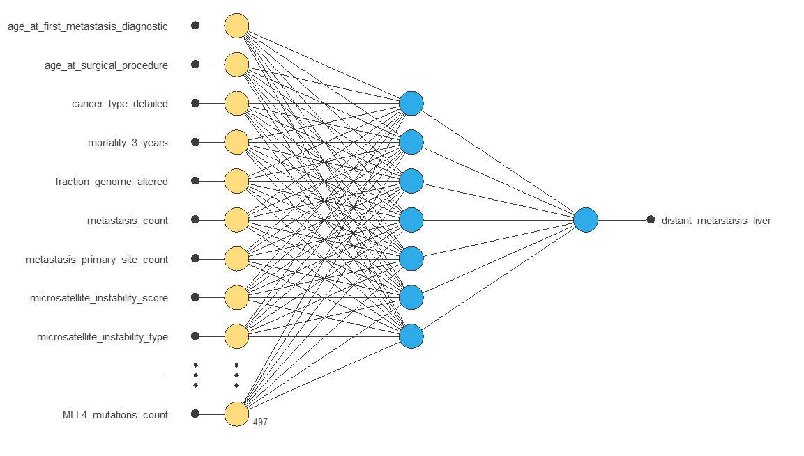 Selected liver-metastasis network with 525 encoded inputs, seven hidden neurons and one output