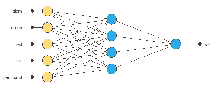 Selected tree-wilt classifier with five inputs, four hidden neurons and one output