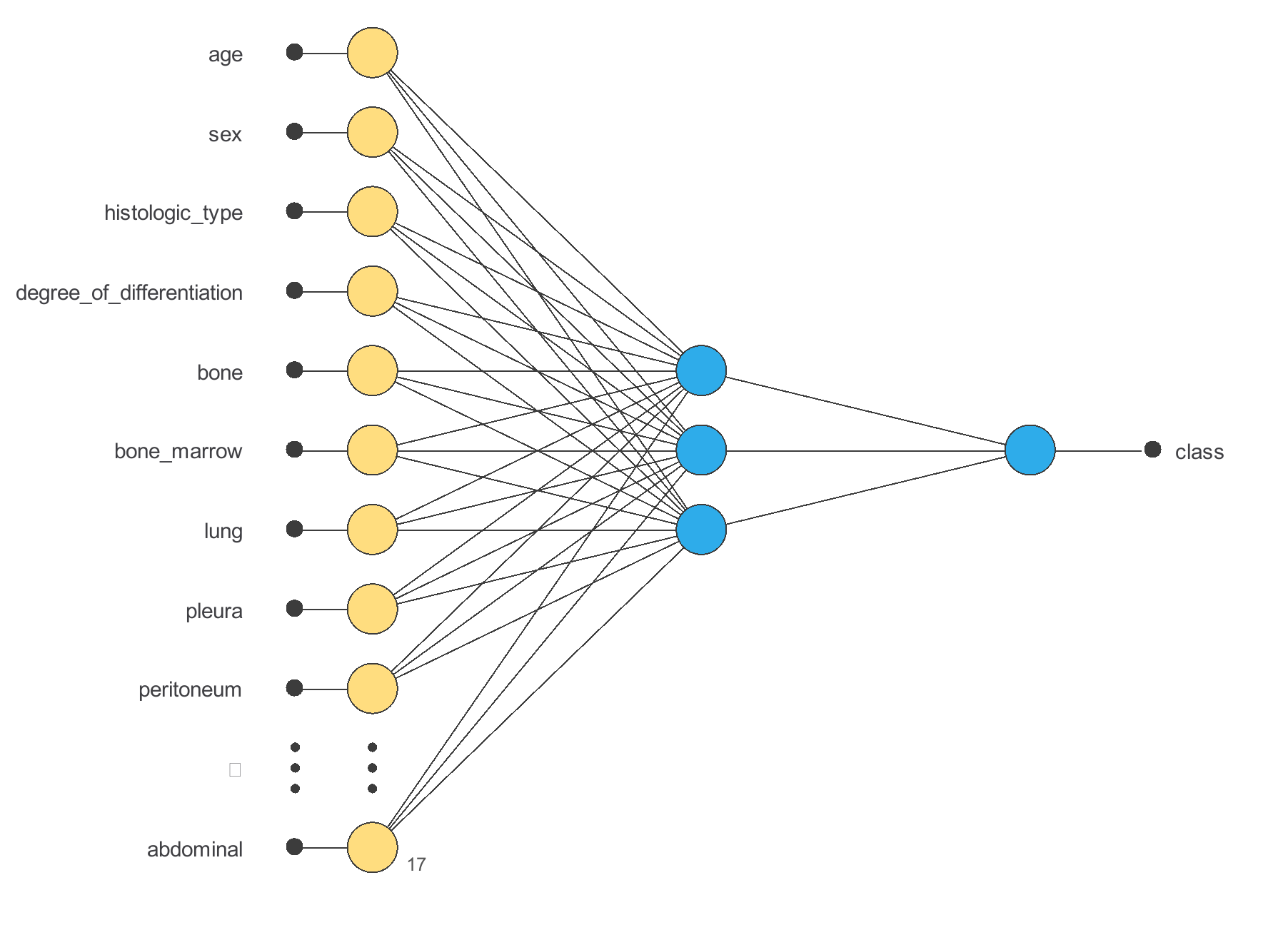 Primary tumor site classification — initial network architecture