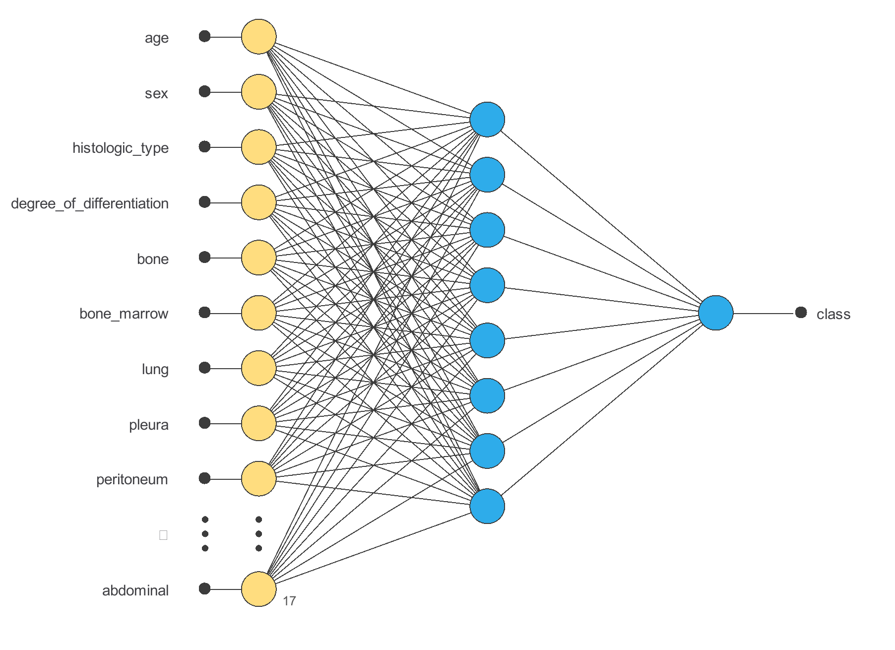 Primary tumor site classification — selected network architecture